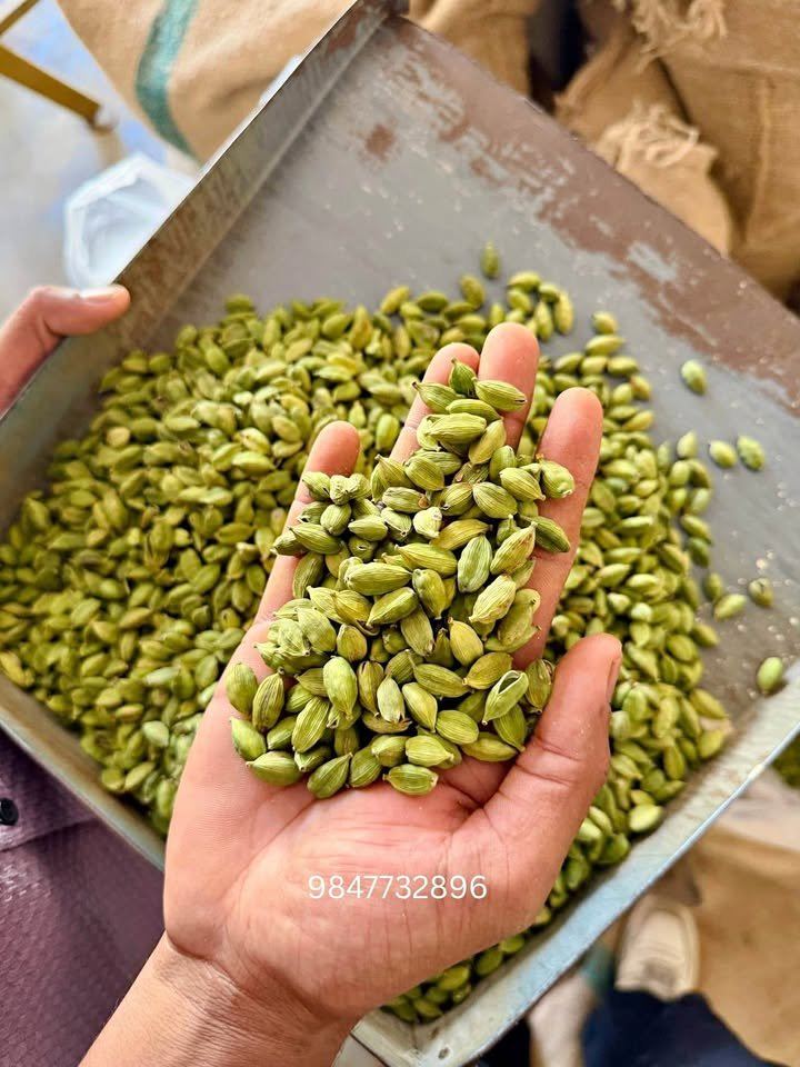 Cardamom for sale