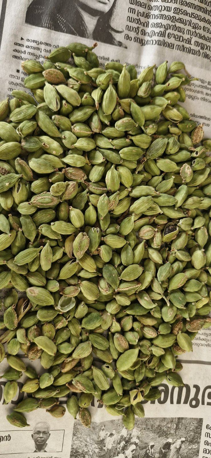 Cardamom for sale