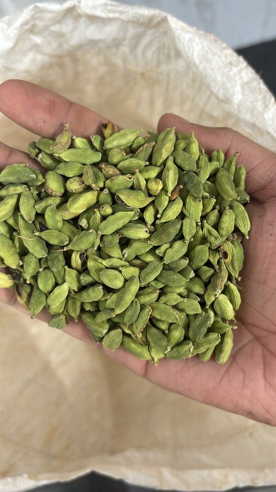Cardamom for sale