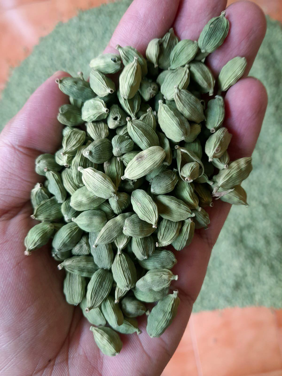 Cardamom for sale