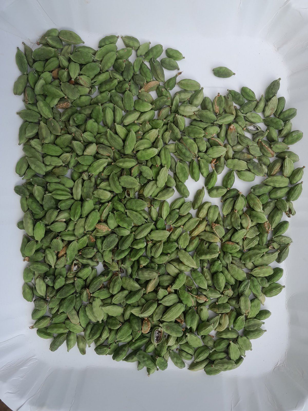 Cardamom for sale