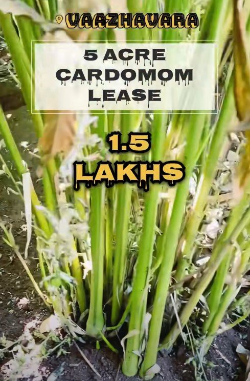 5 acre land for lease