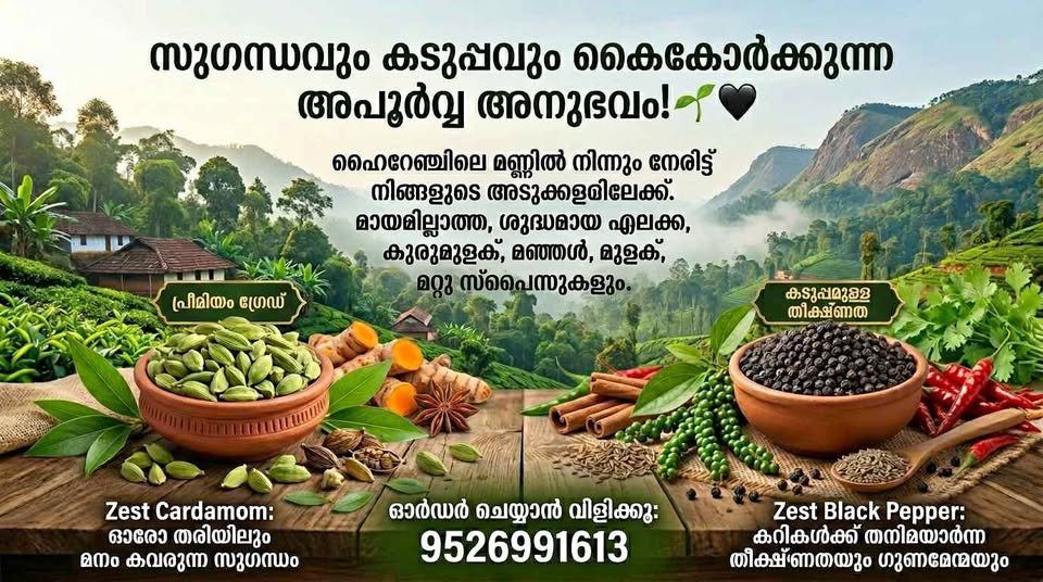 എലക്ക, കുരുമുളക്, മഞ്ഞൾ, മുളക്, മറ്റു സ്പൈസുകളും വില്പനക്ക്
