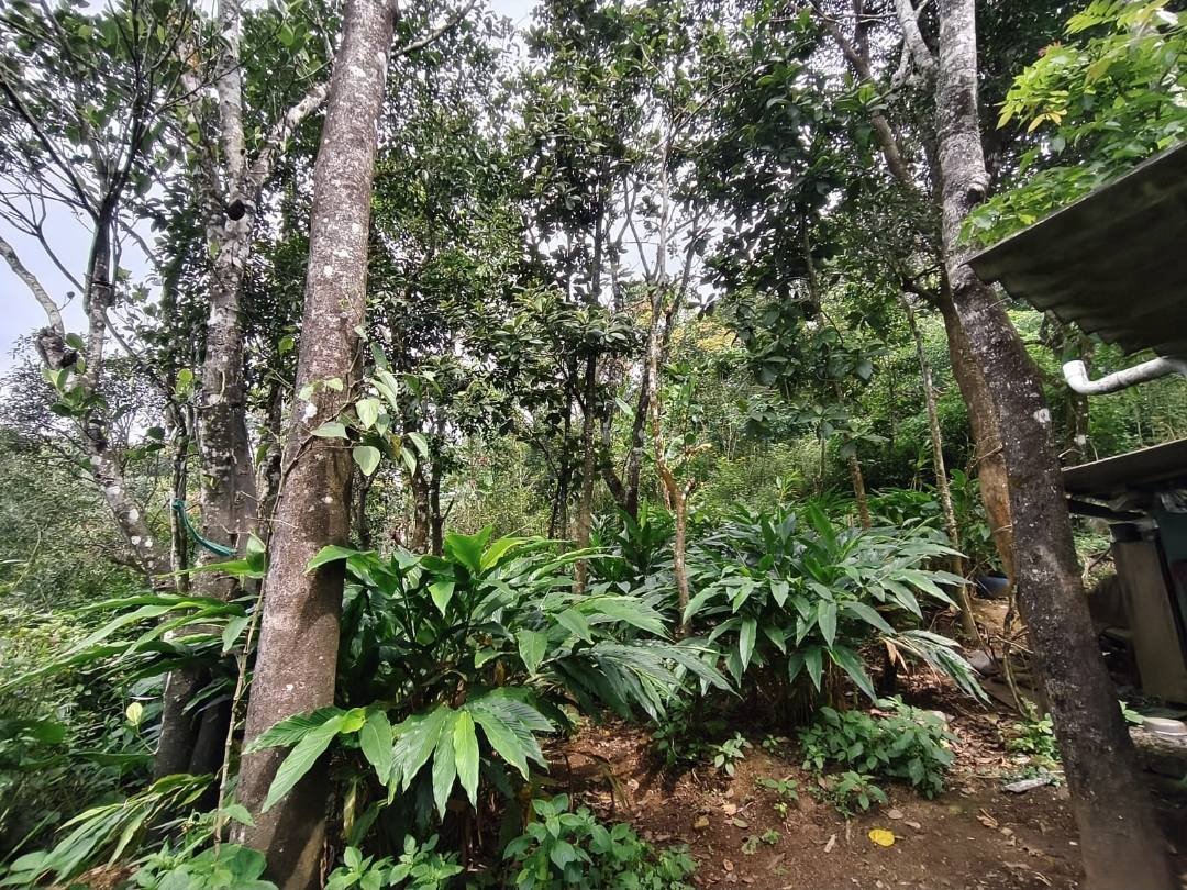 ഇടുക്കിജില്ലയിൽ ആനവിലാസം അടുത്ത് 22സെന്റ് സ്ഥലം ഷീറ്റ് വീട്, വില്പനക്ക്