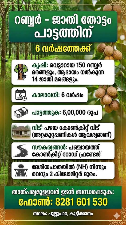 റബർ ജാതി തോട്ടം പാട്ടത്തിന്