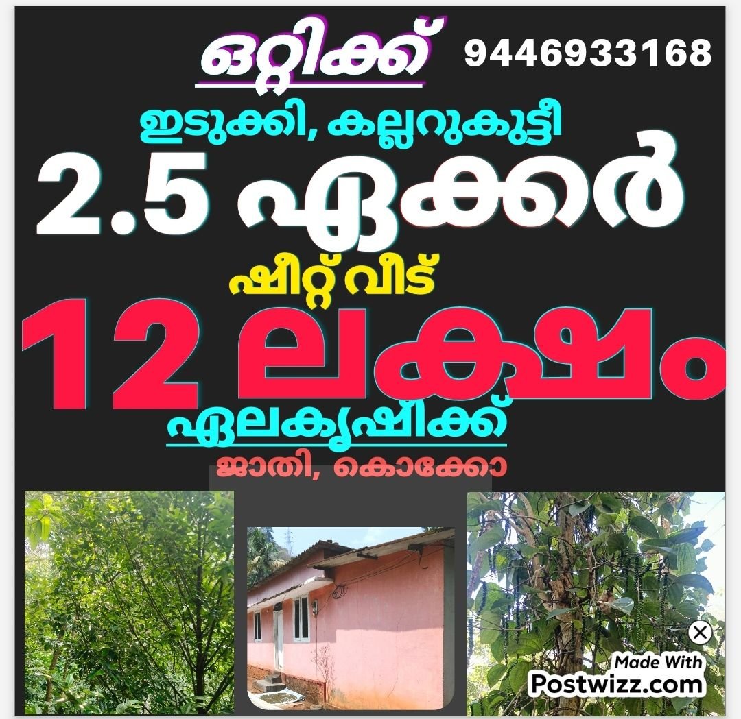 ഇടുക്കി കല്ലാറുകുട്ടി 2.5ഏക്കർ സ്ഥലം വീടും 12ലക്ഷം രൂപക്ക് ഒറ്റിക്ക്
