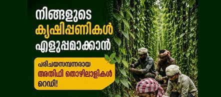 Available - Cardamom Plantation Job