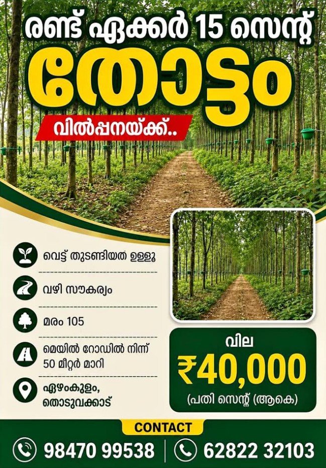 റബ്ബർ തോട്ടം വിൽപ്പനക്ക്