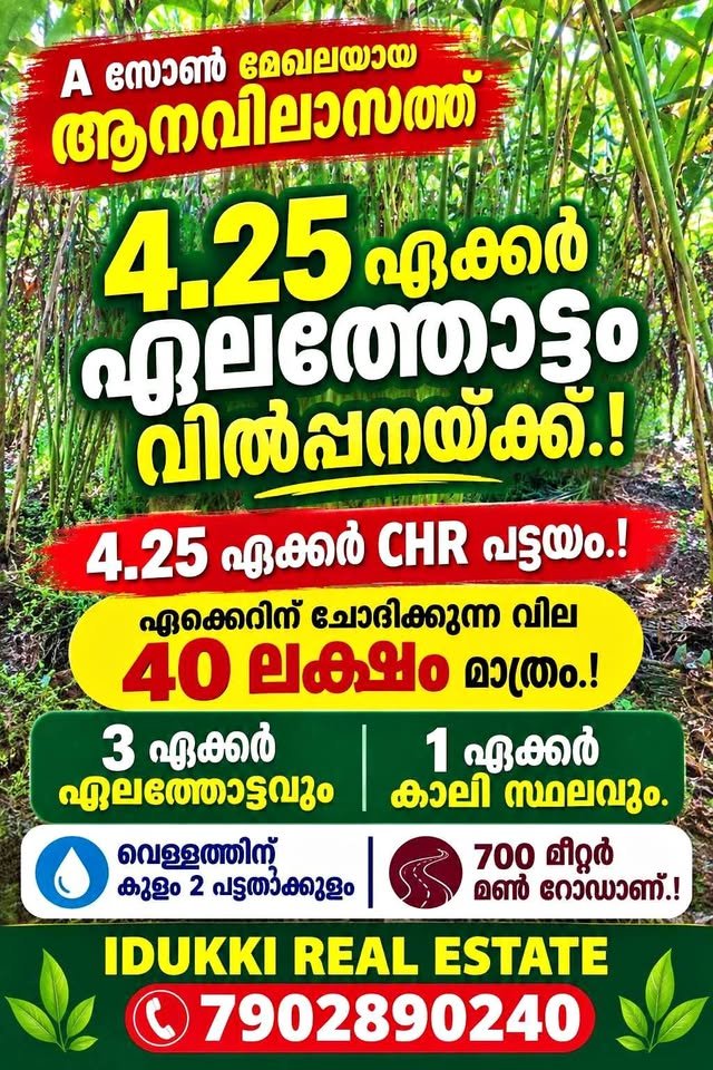 4.25 Acres Cardamom Estate for Sale at Anavilasam