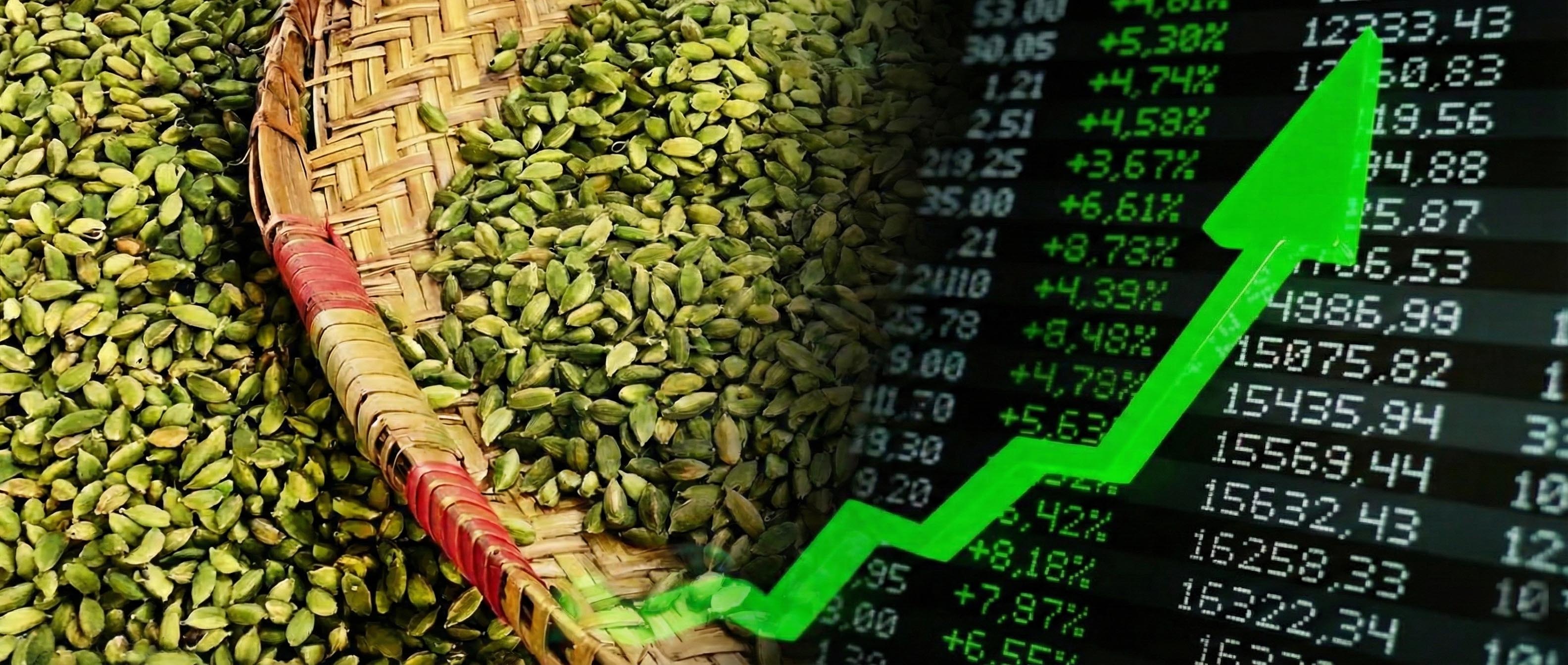 ആഗോള വിപണിയിൽ ഇന്ത്യൻ ഏലത്തിന് മികച്ച സമയം. ഗ്വാട്ടി മാലയിലെ പ്രതിസന്ധി നേട്ടമാകുന്നു