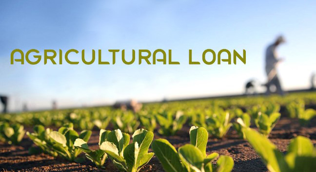 കാർഷിക സംരംഭങ്ങൾക്ക് കരുത്തേകാൻ അഗ്രി ഇൻഫ്രാസ്ട്രക്ചർ ഫണ്ട്; 2 കോടി രൂപ വരെ ഈടില്ലാതെ വായ്പയുമായി കേരള ഗ്രാമീൺ ബാങ്ക്