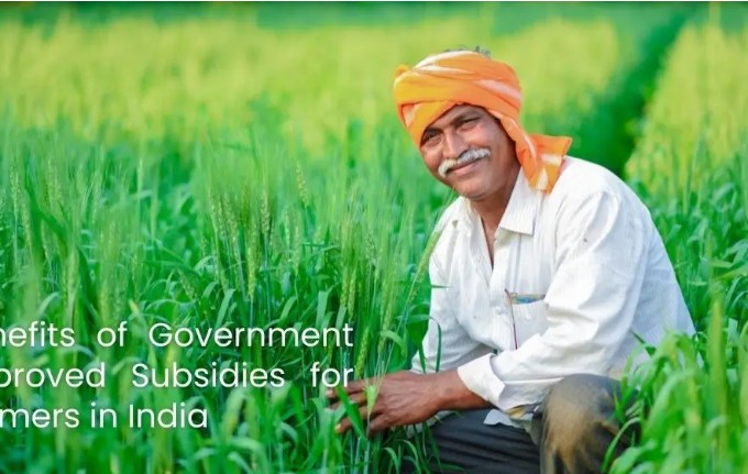 324 കർഷകർ, 198.83 ഹെക്ടർ ഭൂമി, ഒരു കോടി സഹായം; റബ്ബർ, ഏലം പുനർനടീൽ സഹായധനം വിതരണം ചെയ്തു 