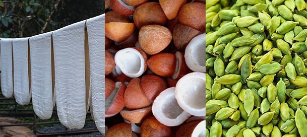 വിപണിയിൽ റബറിന് ക്ഷീണം, കൊപ്ര വില കൂടി , ഏലം വില കൂടുമെന്ന് വിപണിക്ക് പ്രതീക്ഷ. 