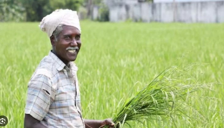 കർഷകർക്ക് കൈത്താങ്ങ്; 10115 പേർക്ക് കൂടി 2000 രൂപ കർഷക പെൻഷൻ; 24. 276 കോടി അനുവദിച്ചു
