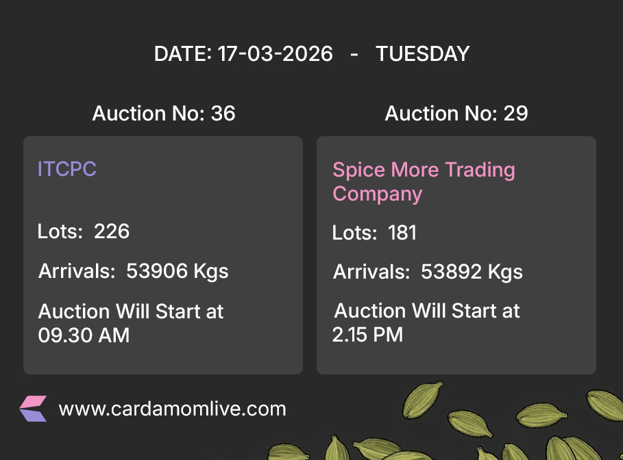 Cardamom Pre auction details today ( 17-03-2026 ) 