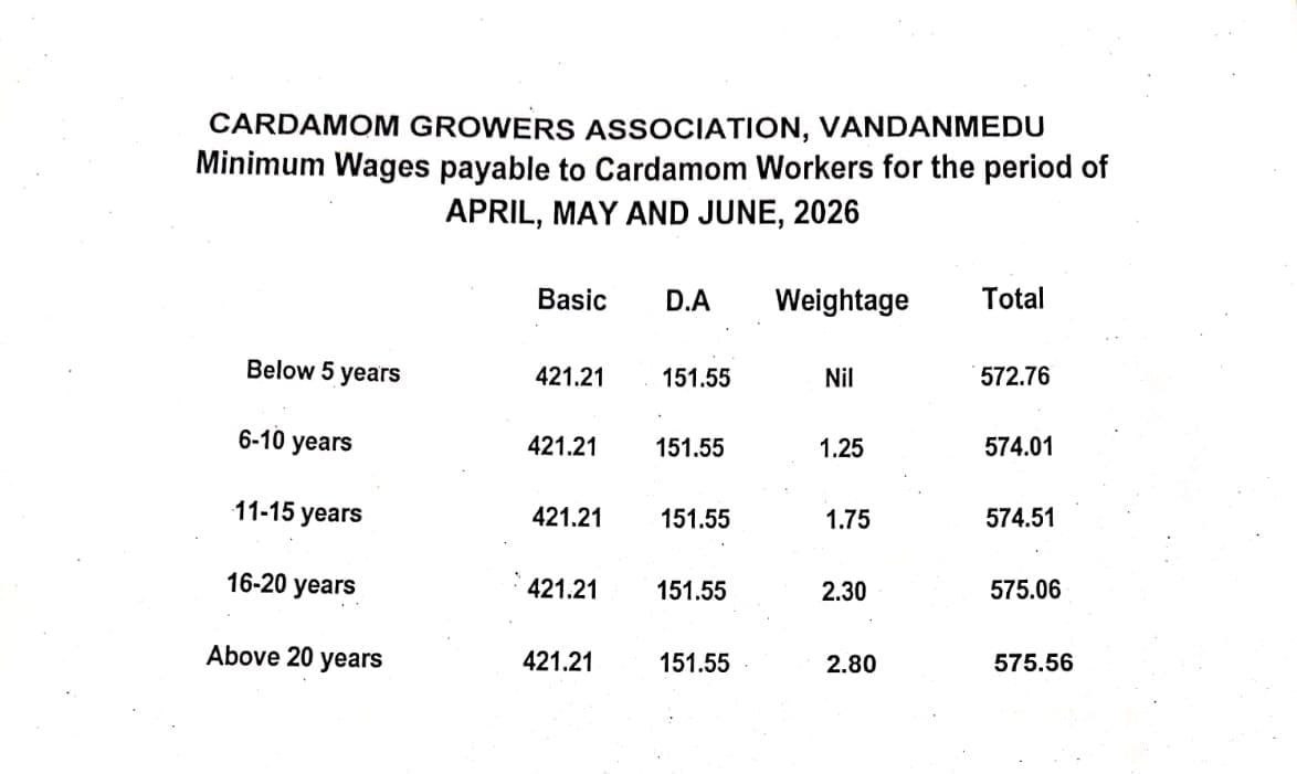 ഏലം തോട്ടങ്ങളിലെ പുതിയ കൂലി നിരക്ക് 