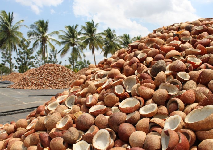 വെളിച്ചെണ്ണയുടെയും കൊപ്രയുടെയും വിലയിൽ ഇടിവ്.