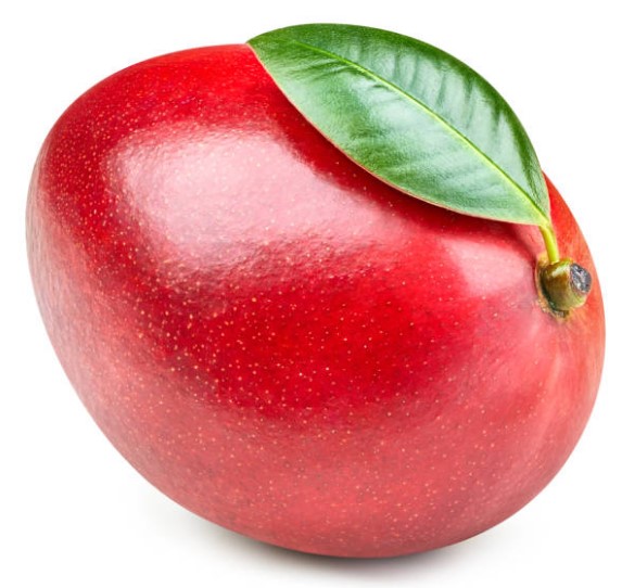 ഒരു പഴത്തിന് 2500 രൂപ! ഇത് മുർഷിബാദിലെ 'കോഹിനൂർ'; പറയാം രാജകീയ മാമ്പഴത്തിന്റെ അദ്ഭുതകഥ