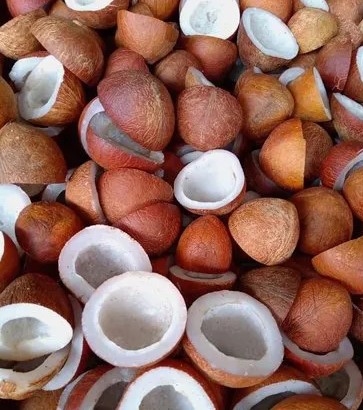 കൊപ്ര വിലയിൽ ഉണർവ്, വെളിച്ചെണ്ണയ്ക്ക് ആവശ്യക്കാർ കുറഞ്ഞു.