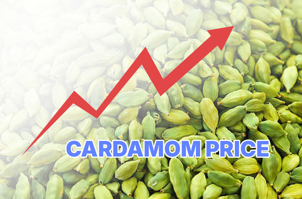 ഏലം വില സൂചികയും അനുമാനങ്ങളും  പ്രവചനവും 