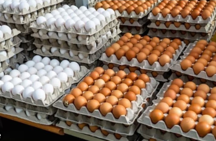 പശ്ചിമേഷ്യ സംഘർഷം - വില ഇടിഞ്ഞു മുട്ട , കർഷകർ പ്രതിസന്ധിയിൽ 