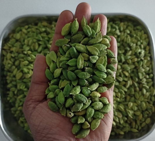 ഏലക്ക വിപണി ഇന്ന് 