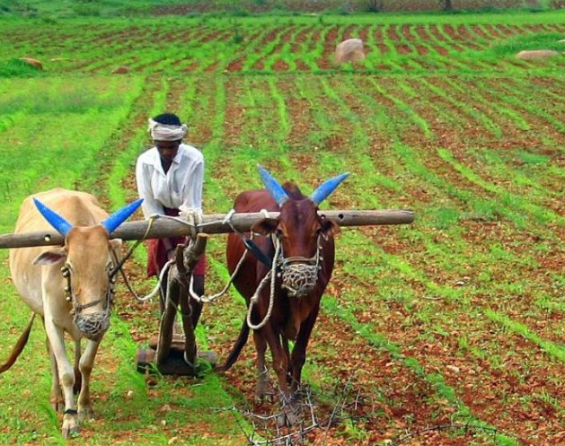 വേനൽ മഴയെത്തി, വിളകൾക്ക് നിലമൊരുക്കേണ്ടത് ഇങ്ങനെ!