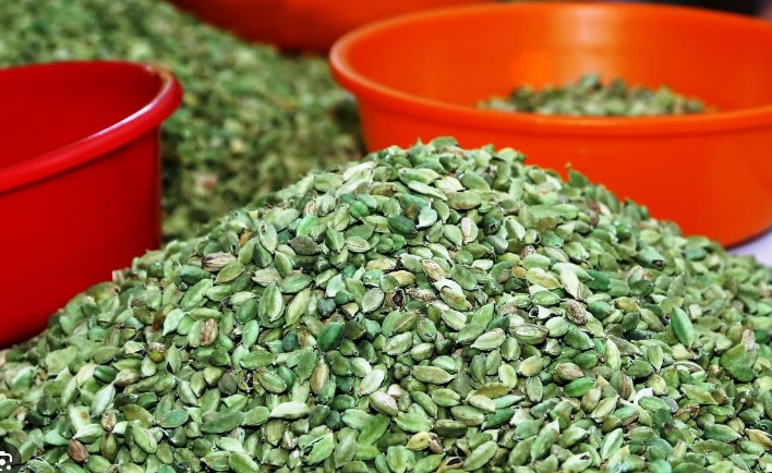 ഏലം വിലയിൽ കുതിപ്പ്; ഇന്നത്തെ ഏറ്റവും ഉയർന്ന വില കിലോയ്ക്ക് 3294 രൂപ | cardamom price