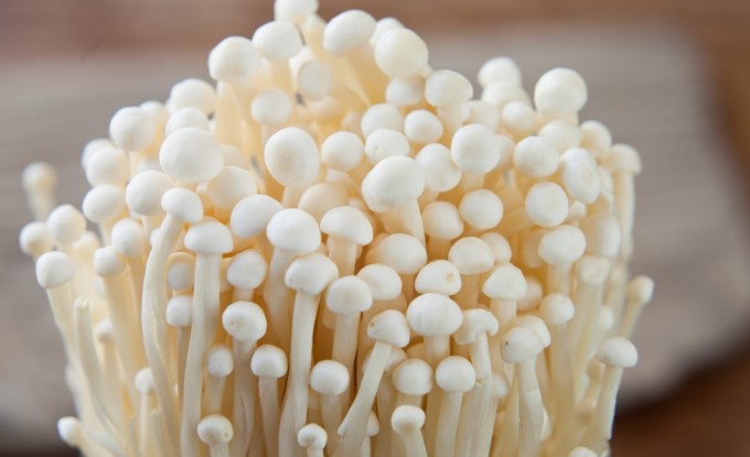 ഇത് മണ്ണില്ലാ കൃഷി! ചൈനയിൽ വിളവെടുത്തത് 49,100 ടൺ 'സ്വർണ നിറമുള്ള' കൂണുകൾ; ഇത് ലോകത്തിനൊരു മാതൃക | cardamom price | cardamom buy