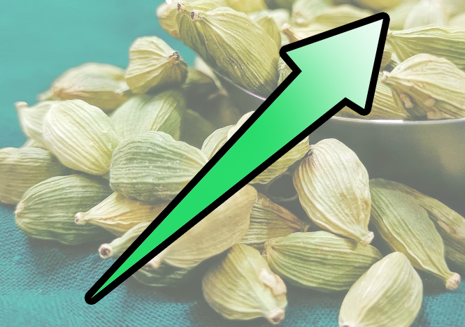 ഏലക്ക വിലയിൽ വൻ കുതിപ്പ്: MAS ലേലത്തിൽ ഉയർന്ന വില കിലോയ്ക്ക് 3486 രൂപ! | cardamom price | cardamom buy