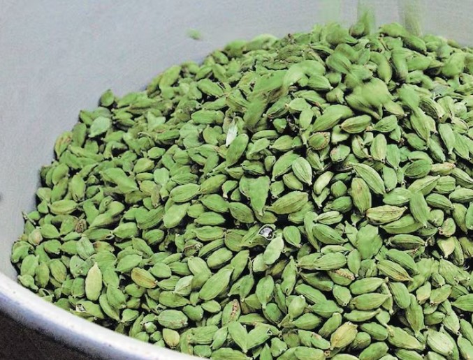 ഉയർന്നു ഏലം, വെളിച്ചെണ്ണ വിലയും മുന്നോട്ട്, പ്രതിസന്ധി നേരിട്ട് റബർ. | cardamom price | cardamom buy