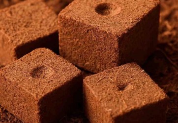 അന്ന് വില്ലൻ, ഇന്ന് വിഐപി; ഇന്ത്യയിലേക്ക് എത്തുന്നത് 13,992 കോടിയുടെ വരുമാനം, ഇത് ഭാവിയിലെ 'കറുത്ത സ്വർണം |cardamom price | cardamom buy