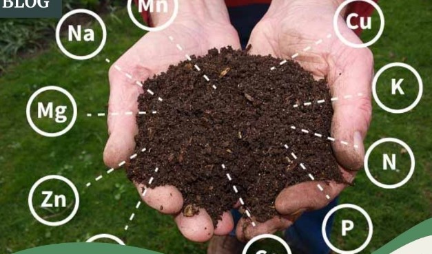 മണ്ണറിഞ്ഞ് കൃഷി ചെയ്യാം, നൂറുമേനി വിളവെടുക്കാം: ശാസ്ത്രീയ മണ്ണ് പരിശോധനയുടെ വിജയരഹസ്യം