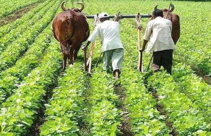 ഗുജറാത്തിലെ ഗ്രാമങ്ങളിൽ വൻ മാറ്റം! ഡിജിറ്റൽ ഹരിത വിപ്ലവത്തിന് തുടക്കമിട്ട് സർക്കാർ; സഹായം ലഭിച്ചത് 25000 കർഷകർക്ക് 