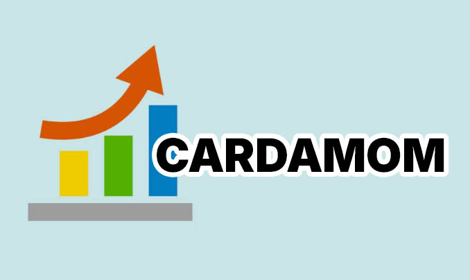 ഏലക്ക വിപണിയിൽ നേരിയ   മുന്നേറ്റം; ഇന്ന് നടന്ന ലേലങ്ങളിൽ വില 3200 രൂപ കടന്നു