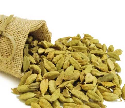 ഏലക്ക വിപണിയിൽ  പരമാവധി വില ഇന്ന്  3300 കടന്നു; ലഭ്യത കുറയുന്നത് വില ഉയരാൻ കാരണമാകുന്നു