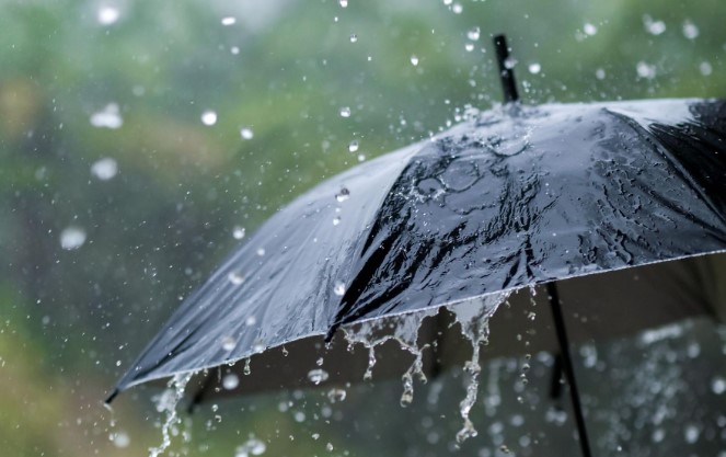 ഇത്തവണ കോളടിച്ചത് പത്തനംതിട്ടയ്ക്ക്; സംസ്ഥാനത്ത് വേനൽമഴ ഏറ്റവും കൂടുതൽ ലഭിച്ചത് ജില്ലയിൽ