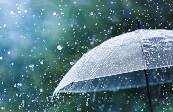 കാലവർഷം ഉടൻ ആൻഡമാനിൽ; കേരളത്തിൽ ജൂൺ ആദ്യവാരം എത്തിയേക്കും