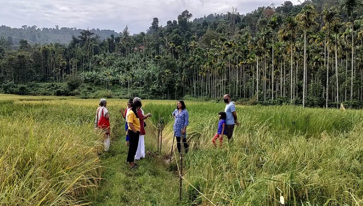 കാലാവസ്ഥാ വ്യതിയാനത്തെ പ്രതിരോധിക്കാൻ വയനാടൻ കർഷകരുടെ 'കാലാവസ്ഥാ കലണ്ടർ'