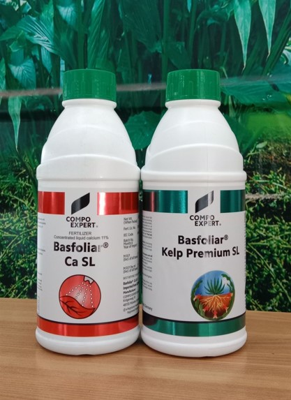 Basfoliar Ca SL--- ലിക്യുഡ് കാൽസ്യം