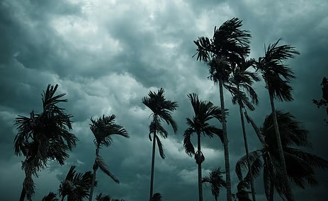 മൺസൂൺ അപ്ഡേറ്റ് 