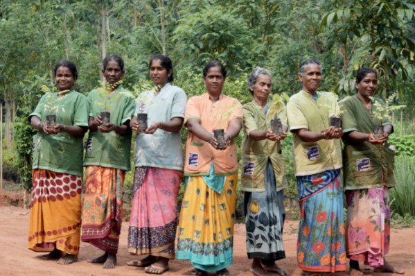 കാവേരി കോളിംഗ്: ഇതുവരെ നട്ടത് 13.4 കോടി മരങ്ങൾ; ഈ വർഷം ലക്ഷ്യമിടുന്നത് 1.2 കോടി തൈകൾ