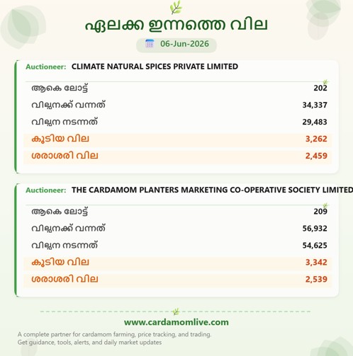 ഇന്നത്തെ ഏലക്കാ വില നിലവാരം ( 06-06-2026)