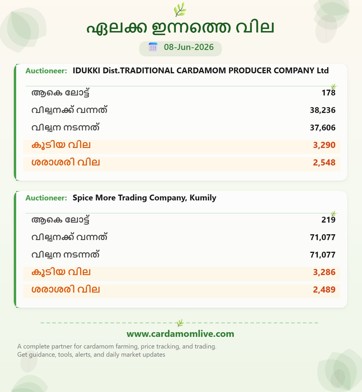 ഇന്നത്തെ ഏലക്ക നിലവാരം  ( 08-june -2026 )