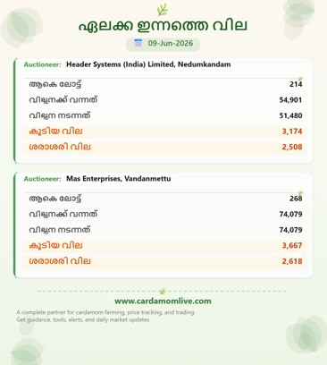 ഏലക്കാ ഇന്നത്തെ ഓക്ഷൻ നിലവാരം 