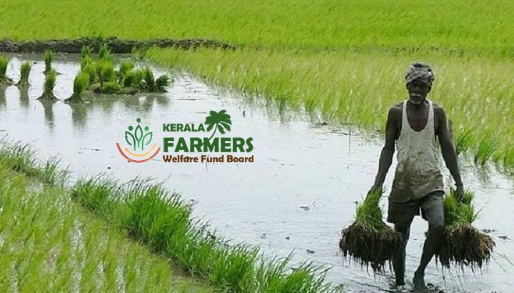 കേരള കർഷകക്ഷേമനിധി ബോർഡ് കടുത്ത സാമ്പത്തിക പ്രതിസന്ധിയിൽ; പെൻഷൻ വിതരണം അനിശ്ചിതത്വത്തിൽ