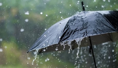 സംസ്ഥാനത്ത് മഴ കനക്കുന്നു; ഇന്ന് ഏഴ് ജില്ലകളിൽ യെല്ലോ അലർട്ട്