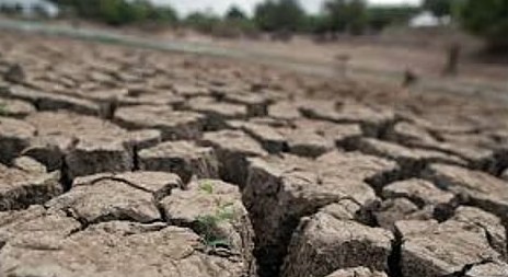 രാജ്യത്ത് കാലവർഷം മന്ദഗതിയിൽ; 64 ശതമാനം മഴക്കുറവ് കാർഷിക മേഖലയിൽ ആശങ്കയുണ്ടാക്കുന്നു