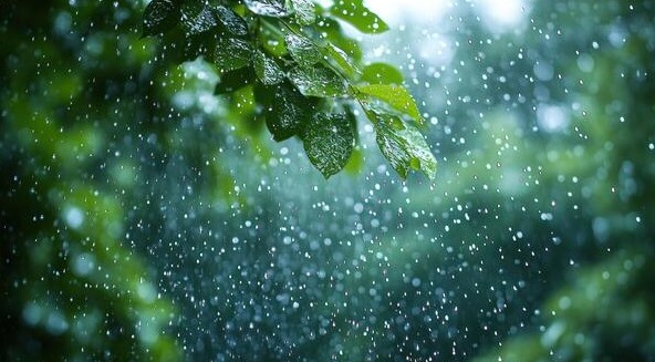 കേരളത്തിൽ അടുത്ത 4 ദിവസം അതിതീവ്ര മഴയ്ക്ക് സാധ്യത