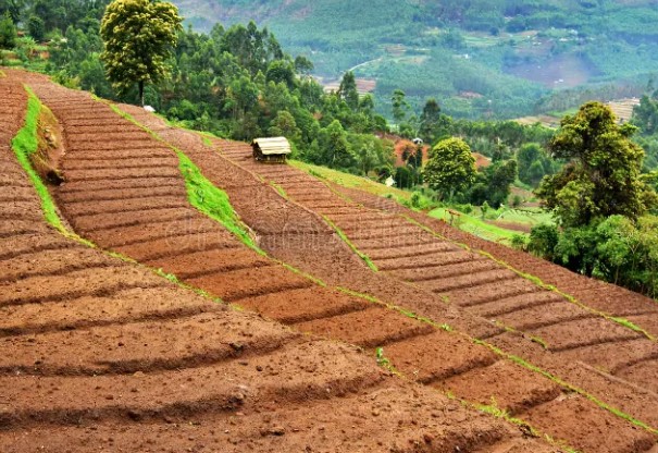 സംസ്ഥാനത്തെ തരിശുഭൂമികളുടെ മാപ്പിങ് ഒരു മാസത്തിനകം പൂർത്തിയാക്കും: